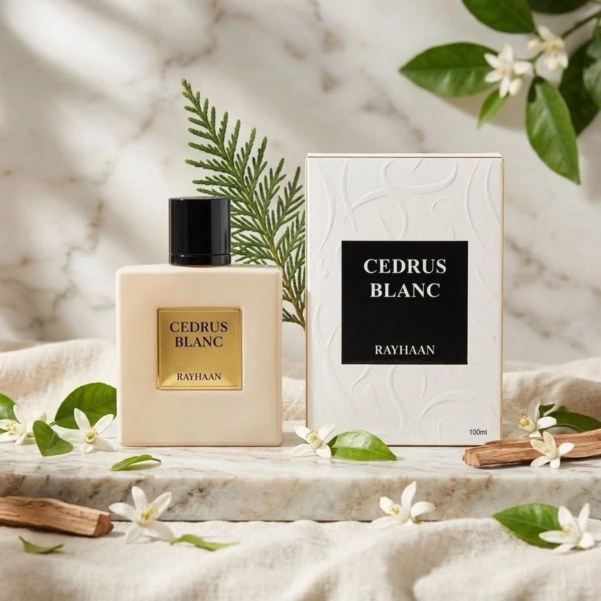 Cedrus Blanc